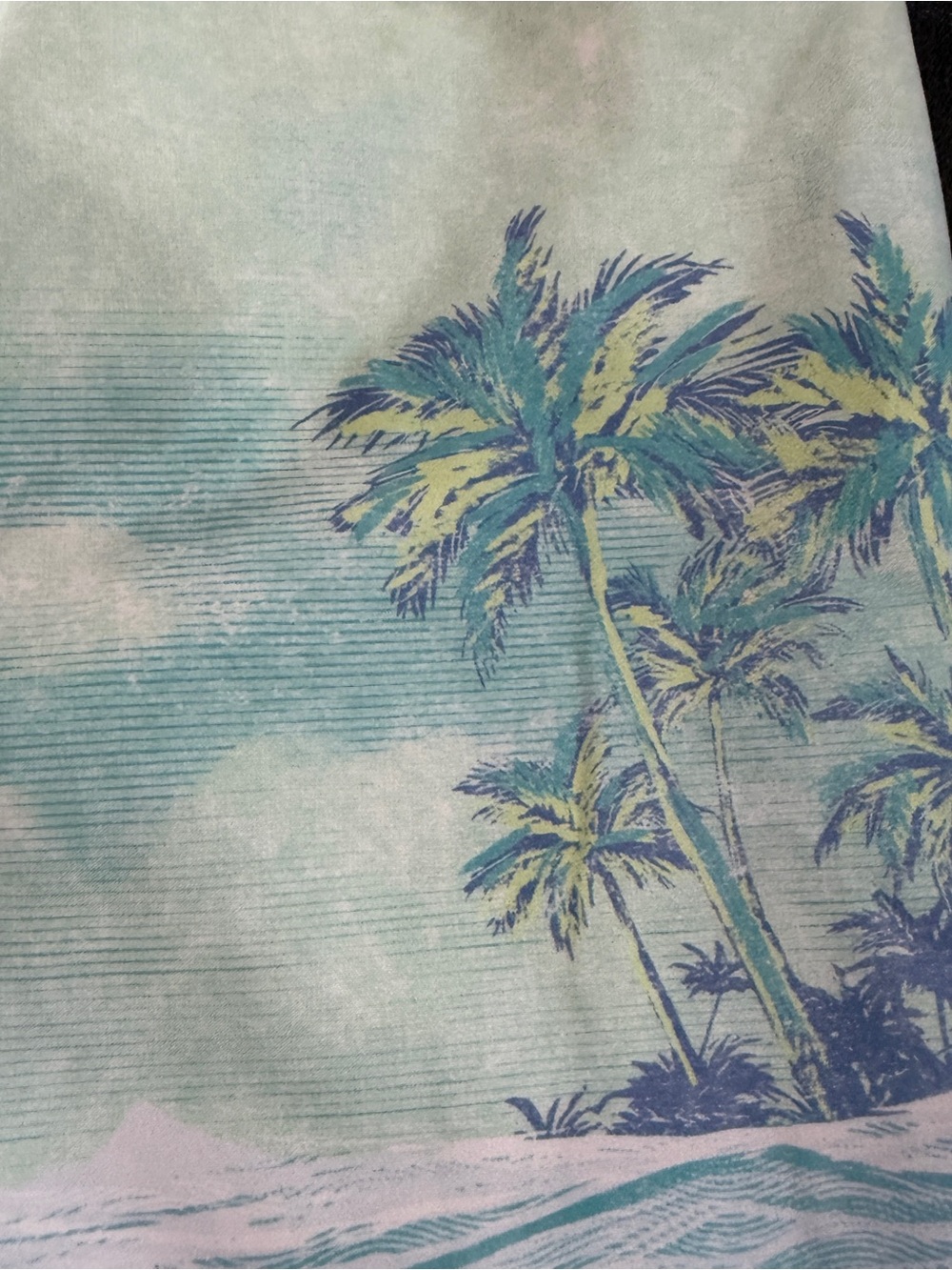 OshKosh Bgosh Mint Green Tropical Print Swim Trunks Sz 12/12A - Picture 2 of 8